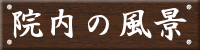 院内の風景